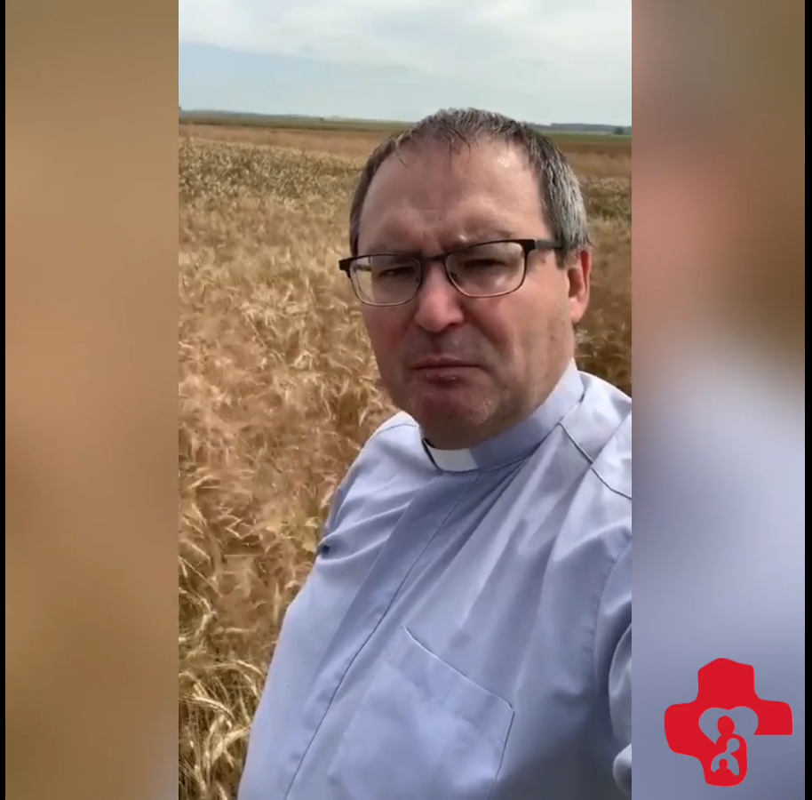 Dobro i zło są ze sobą mocno poplątane i bardzo trudne je rozdzielić – musimy poczekać na żniwa. Kilka słów księdza Gabriela Pisarka o niedzielnej Ewangelii (19.07)